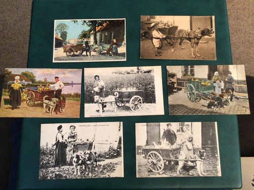Early vintage dog cart - 7,