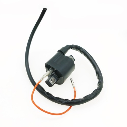 Ignition coil standard - ignition,