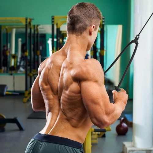 Tricep pull down - pull-down, cable