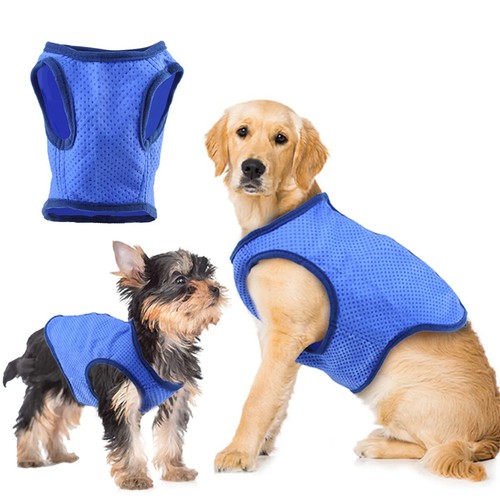 Summer dog cooling - dog, vest