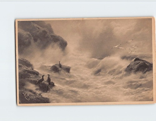 Postcard birds breakers - postcard,