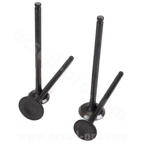 Complete valve kit for - kit,