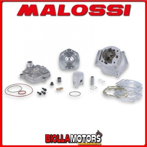 3112981 thermal group - thermal, malossi