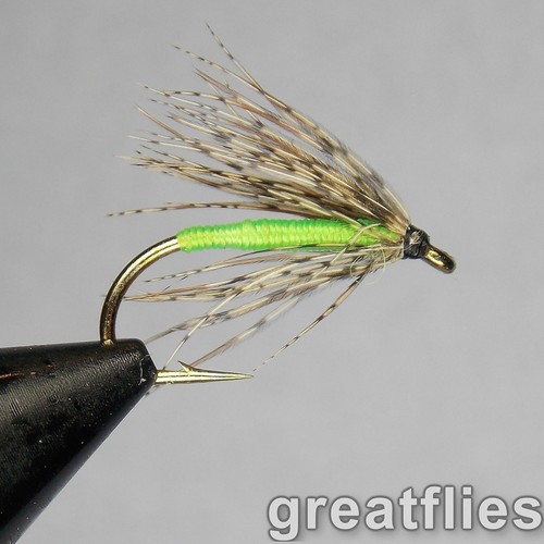 Dozen soft hackle - soft,