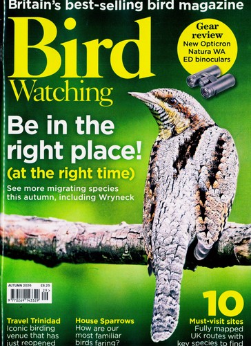 Bird watching magazine - bird,