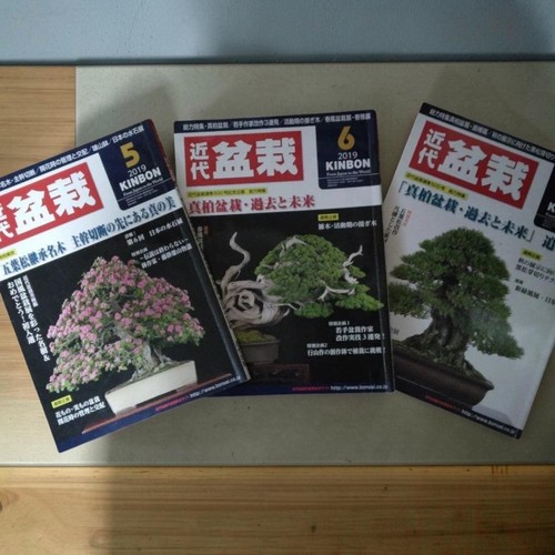 Modern bonsai 2019 mayjuly - bonsai,