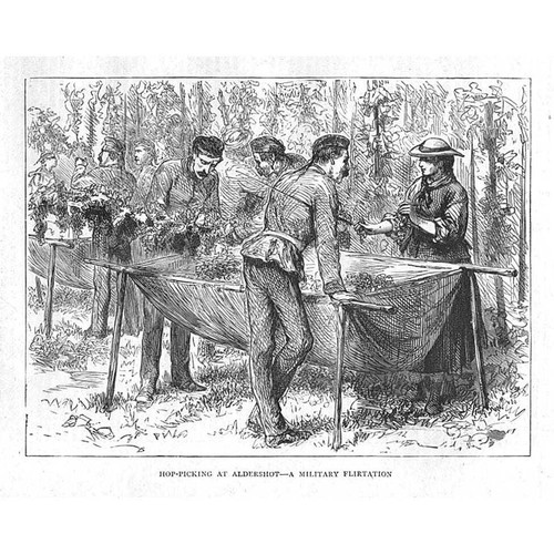 Hop picking aldershot - picking,