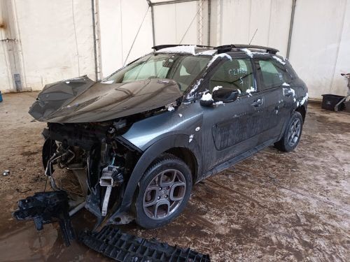 Citroen cactus feel - citroen,