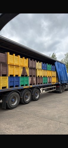 Dolav plastic pallet box - pallet,