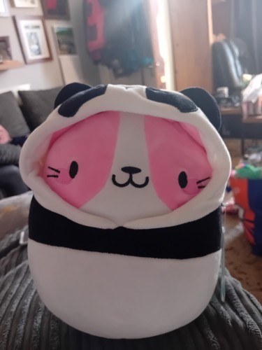 Squishmallows joxtine the cat - the,
