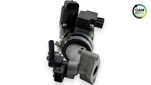Universal bike qt - ty, fuel