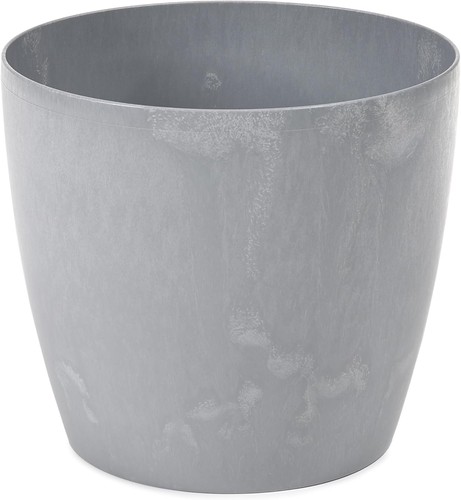 Round plant pot - plant,