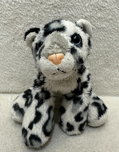 Aurora small snow - , leopard