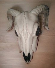 Wall Mounted Ram Skull Home