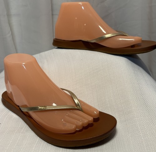 Reef flip flops women size - women’s,