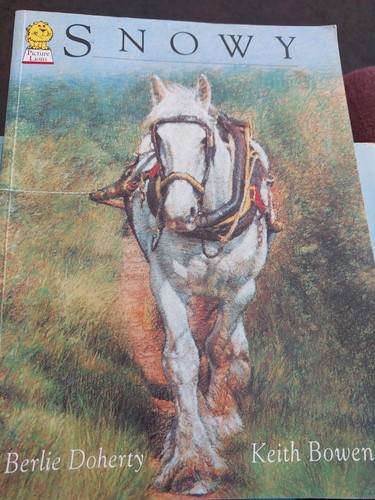 Snowy berlie doherty - berlie,