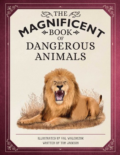 The magnificent book - magnificent, of