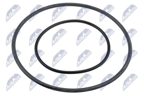 Pvp 001 nty - nty, ring