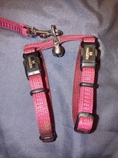 Hagen Ferret Harness & Lead - Pink