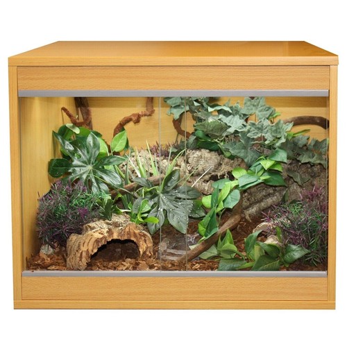 Komodo ecology habitat - komodo,