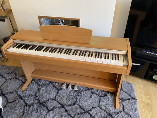 Yamaha digital piano ydp 31 - piano, ydp-`31
