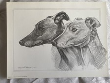 Pollyanna Pickering Greyhound
