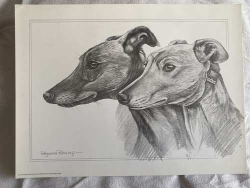 Pollyanna pickering greyhound - pickering,
