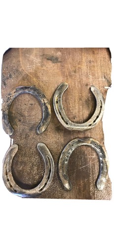 Random large horseshoe - 1, x-large