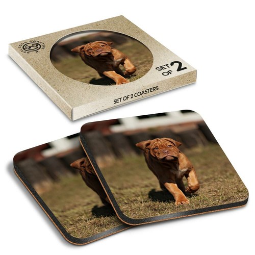 Boxed square coasters - 2,