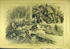 Original Old Antique Print