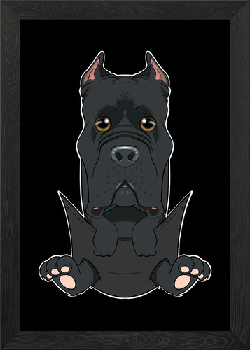 Cane corso puppy - corso, in