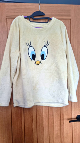 Primark looney tunes - looney,