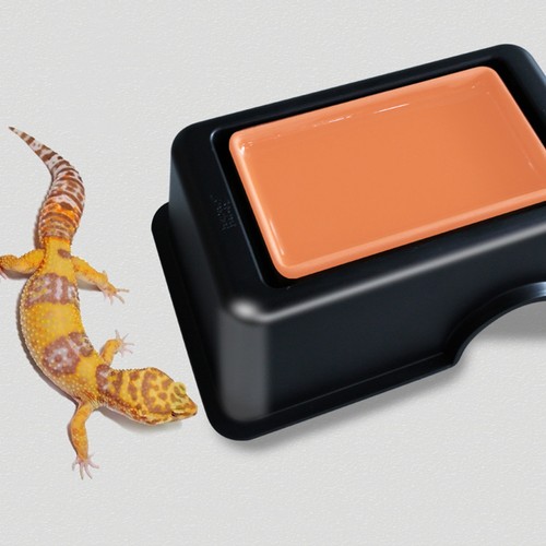 Set reptile habitat - reptile,