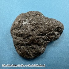 Ichthyosaur coprolite fossil - coprolite,