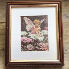 Vintage Flower Fairy Framed Print “The Candytuft Fairy”