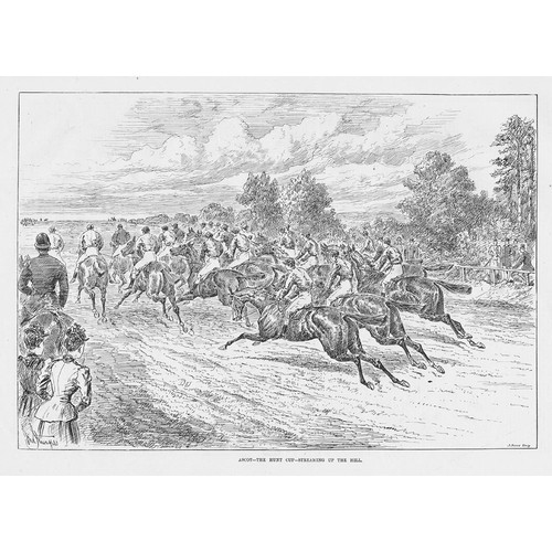 Horse racing the hunt cup - cup, at