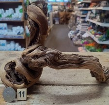 Small Grapevine Wine Wood