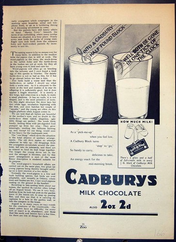 Old cadburys dairy - old,