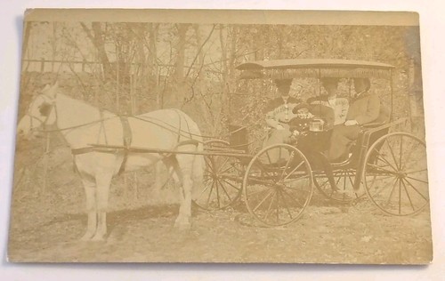 Horse drawn carriage - drawn, rppc