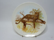 Poole Pottery Transfer Plate. Leopard in Tree. 6" Dia. Excellent Condition
