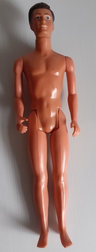 Sindy boyfriend paul doll - sindy's,
