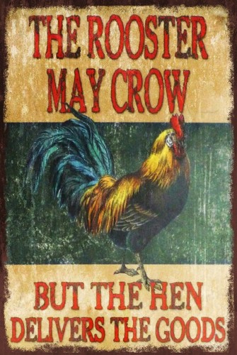 The rooster may crow - rooster,