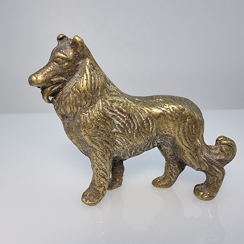 Rough collie pedigree pastoral - collie,