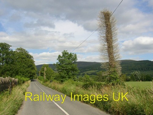 Photo lane killusty - photo,