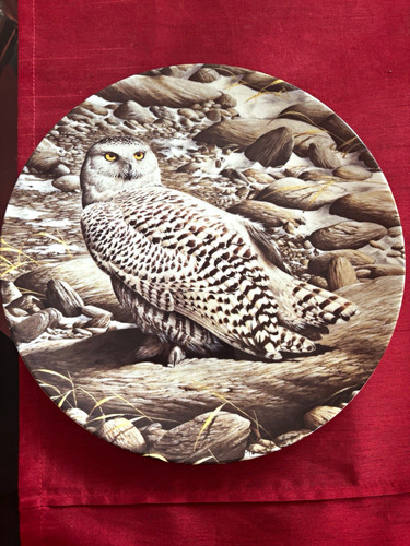 Wedgwood bond owls the snowy - owls,