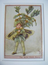 Vintage flower fairies print - print, &