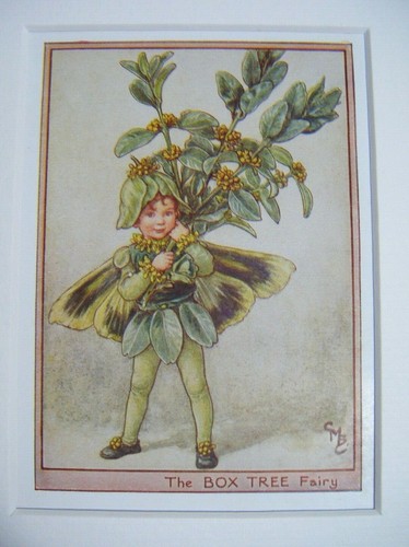 Vintage flower fairies print - fairies, &