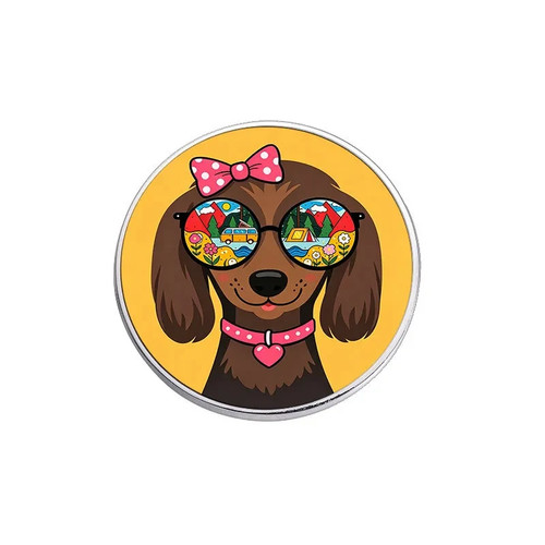 Fabulous dachshund dog - fabulous, wearing