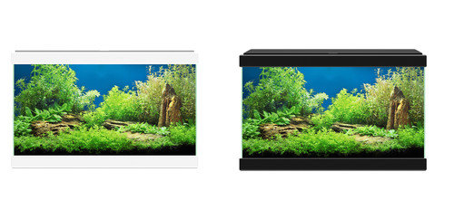 Ciano aqua aquarium with - ciano,