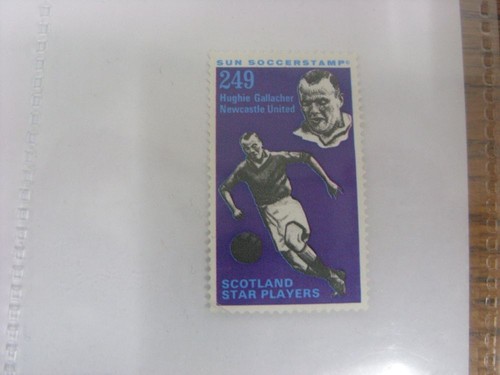 1971 1972 the sun football - 1971/1972,